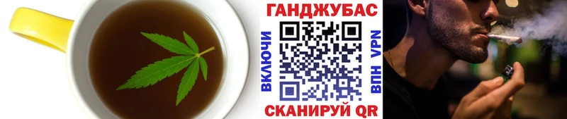 Купить закладки  Нолинск  Cannafood марихуана 