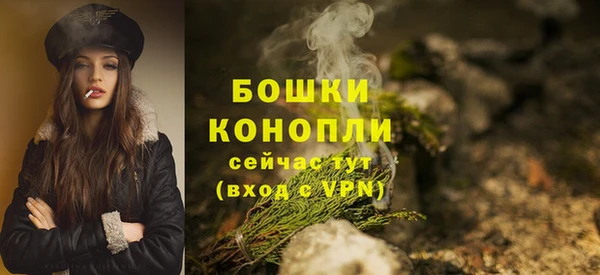 сатива Заволжск