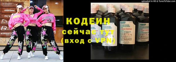 дмт Заводоуковск