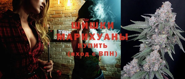 дмт Заводоуковск