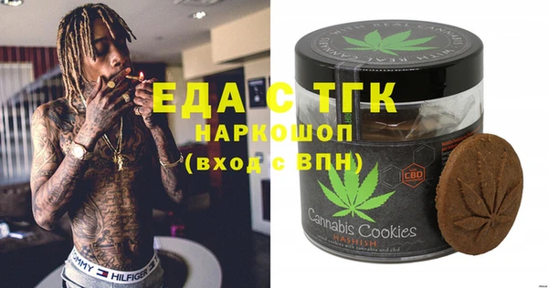 дмт Заводоуковск
